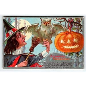 Halloween Precautions Postcard Fantasy Witch Owl Fantasy Full Moon JOL Forest